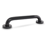 12 Inch Stainless Steel Grab Bar